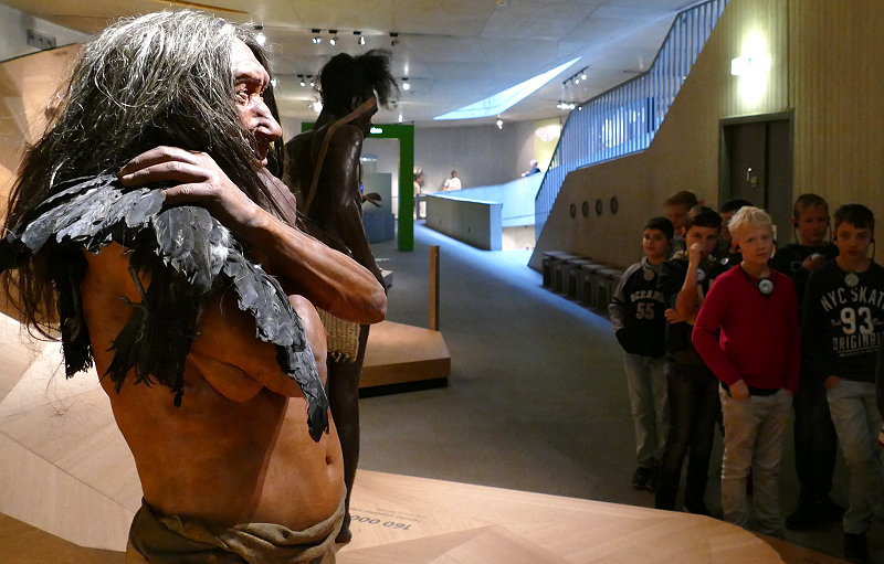 neanderthalmuseum 2016 c