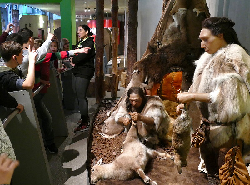 neanderthalmuseum 2016 h