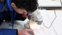 Mikroskopieren_im_Biologieraum