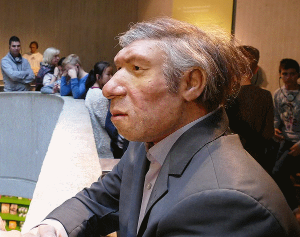 neanderthaler u wir